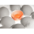 P000016