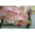 Bl000004