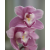 Bl000003