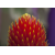 Bl000002