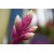 Bl000001